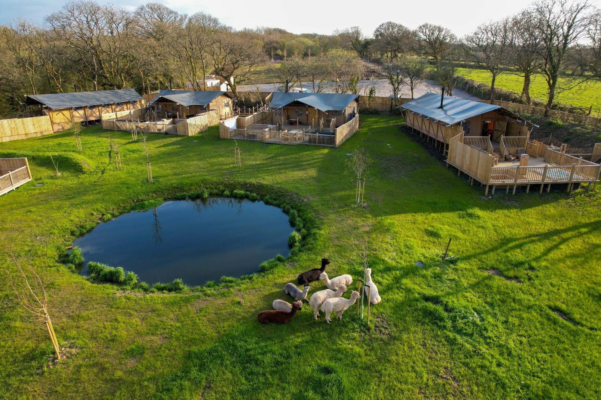 Jungle Book Safari Tent Тенбі Екстер'єр фото
