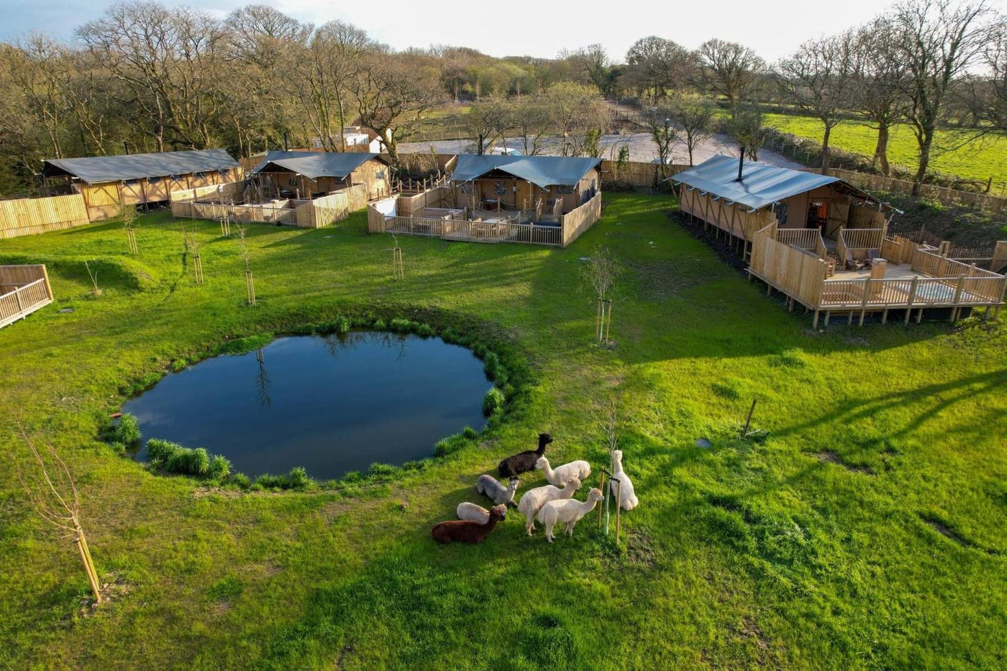 Jungle Book Safari Tent Тенбі Екстер'єр фото